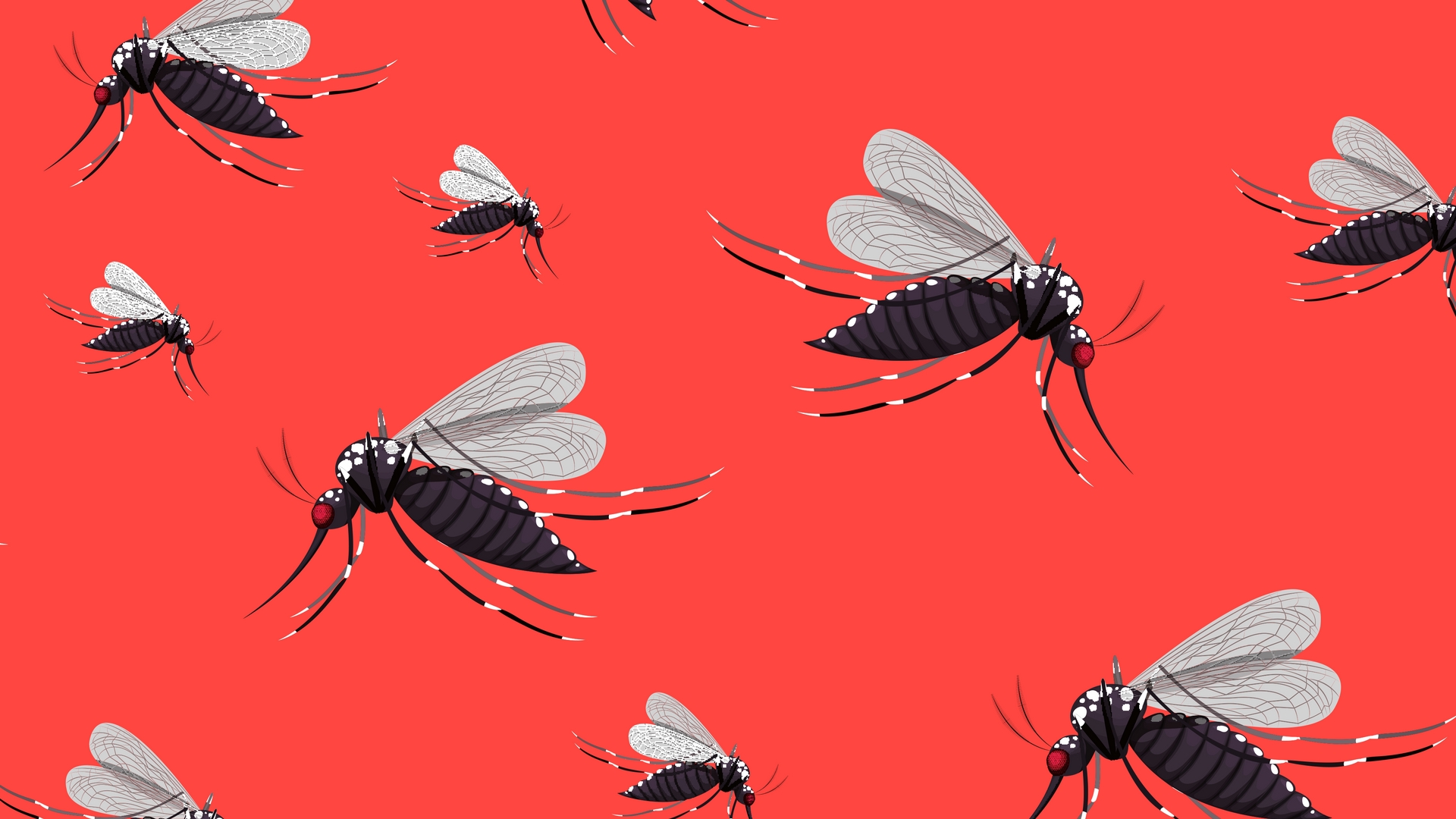 Zika surveillance in India: The key to management and control
